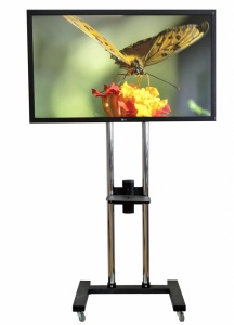 rent the lcd monitor 50 inch